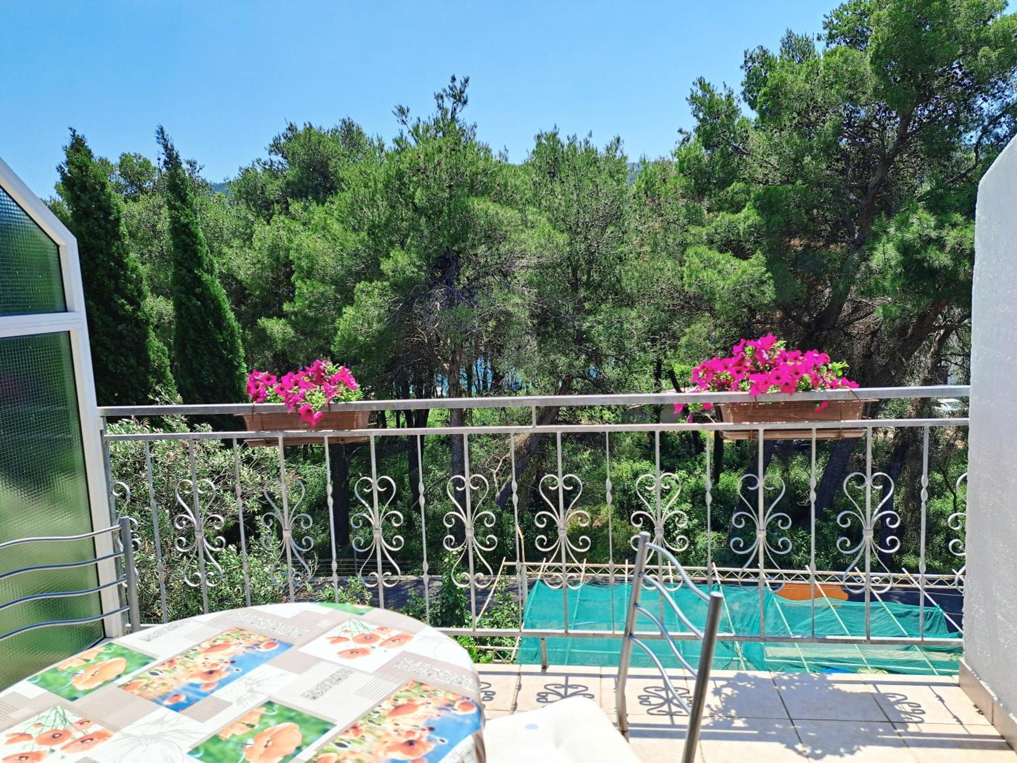 Apartments 1000 Flowers Stari Grad  Quarto foto